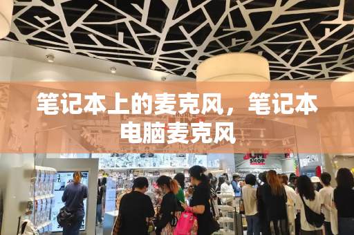 笔记本上的麦克风，笔记本电脑麦克风