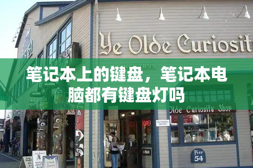 笔记本上的键盘，笔记本电脑都有键盘灯吗-第1张图片-星选测评