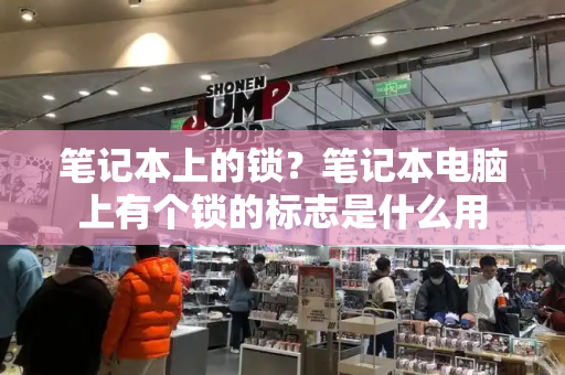 笔记本上的锁？笔记本电脑上有个锁的标志是什么用