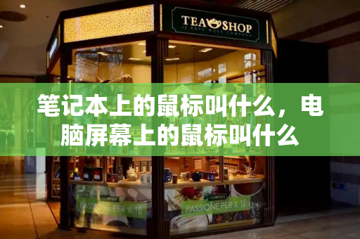 笔记本上的鼠标叫什么，电脑屏幕上的鼠标叫什么