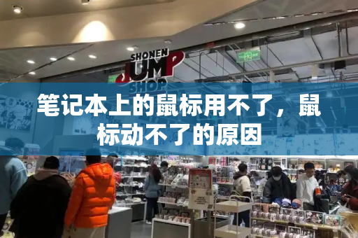 笔记本上的鼠标用不了，鼠标动不了的原因