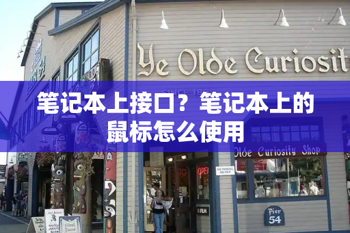 笔记本上接口？笔记本上的鼠标怎么使用-第1张图片-星选测评