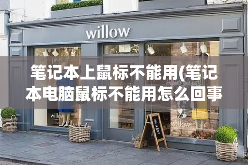 笔记本上鼠标不能用(笔记本电脑鼠标不能用怎么回事)