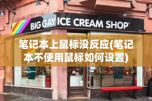 笔记本上鼠标没反应(笔记本不使用鼠标如何设置)-第1张图片-星选测评