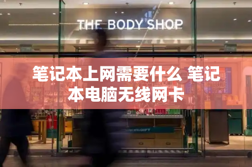 笔记本上网需要什么 笔记本电脑无线网卡