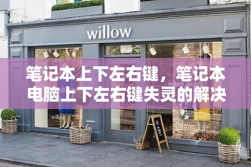 笔记本上下左右键，笔记本电脑上下左右键失灵的解决方法