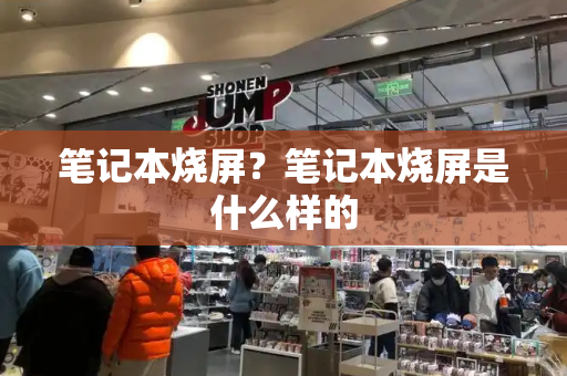 笔记本烧屏？笔记本烧屏是什么样的-第1张图片-星选测评