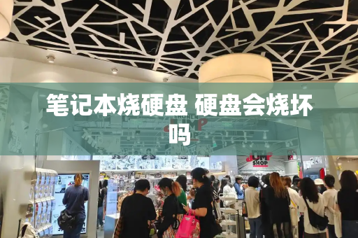 笔记本烧硬盘 硬盘会烧坏吗-第1张图片-星选测评