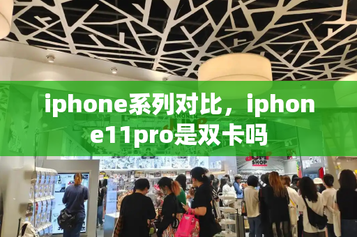 iphone系列对比，iphone11pro是双卡吗-第1张图片-星选测评