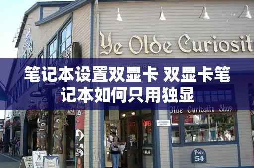 笔记本设置双显卡 双显卡笔记本如何只用独显