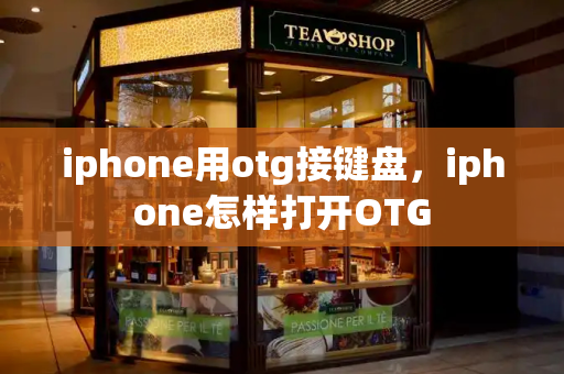 iphone用otg接键盘，iphone怎样打开OTG-第1张图片-星选测评