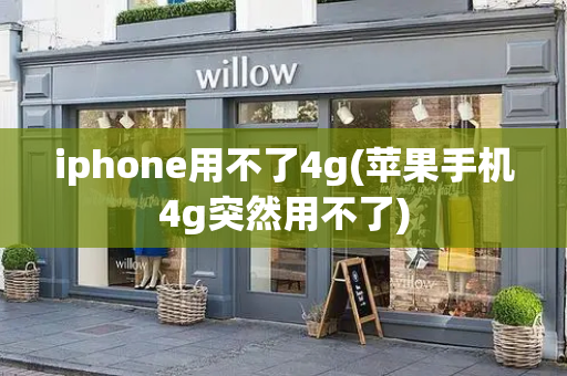 iphone用不了4g(苹果手机4g突然用不了)-第1张图片-星选测评