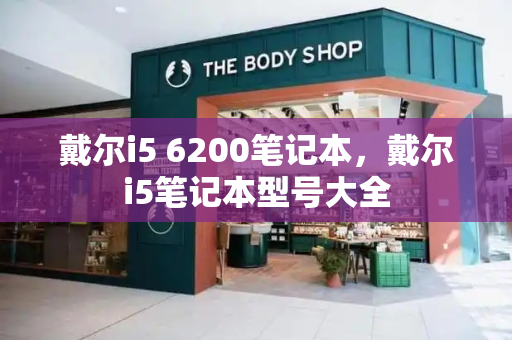 戴尔i5 6200笔记本，戴尔i5笔记本型号大全-第1张图片-星选测评