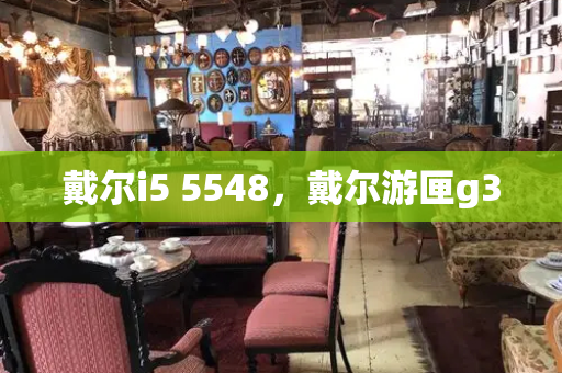 戴尔i5 5548，戴尔游匣g3