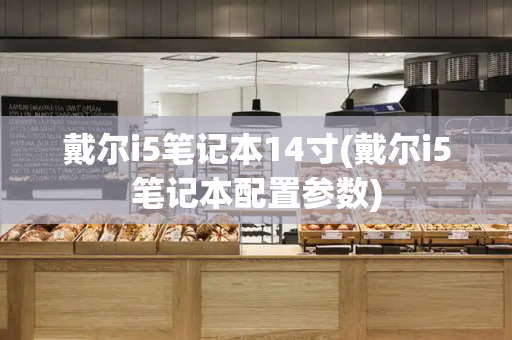 戴尔i5笔记本14寸(戴尔i5笔记本配置参数)-第1张图片-星选测评