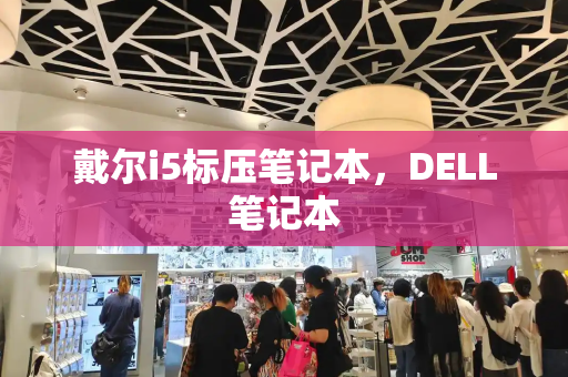 戴尔i5标压笔记本，DELL笔记本-第1张图片-星选测评