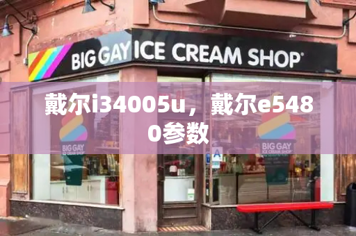 戴尔i34005u，戴尔e5480参数
