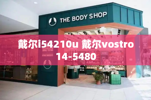 戴尔i54210u 戴尔vostro14-5480