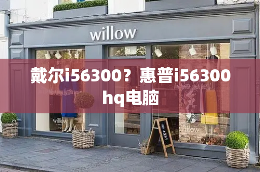 戴尔i56300？惠普i56300hq电脑