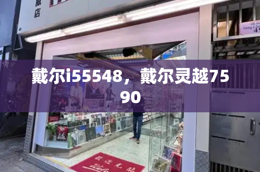 戴尔i55548，戴尔灵越7590-第1张图片-星选测评