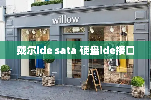 戴尔ide sata 硬盘ide接口