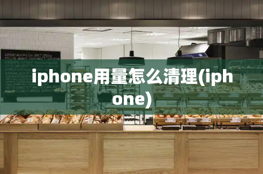 iphone用量怎么清理(iphone)