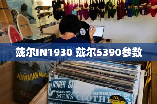 戴尔IN1930 戴尔5390参数-第1张图片-星选测评