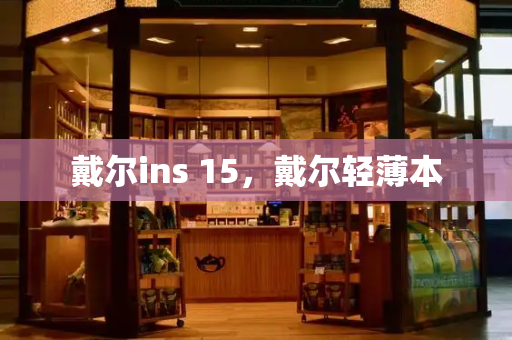 戴尔ins 15，戴尔轻薄本-第1张图片-星选测评