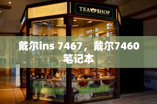 戴尔ins 7467，戴尔7460笔记本-第1张图片-星选测评
