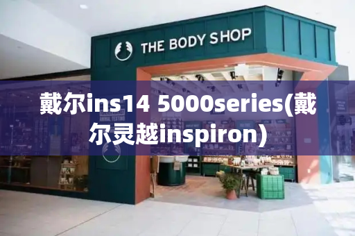 戴尔ins14 5000series(戴尔灵越inspiron)-第1张图片-星选测评