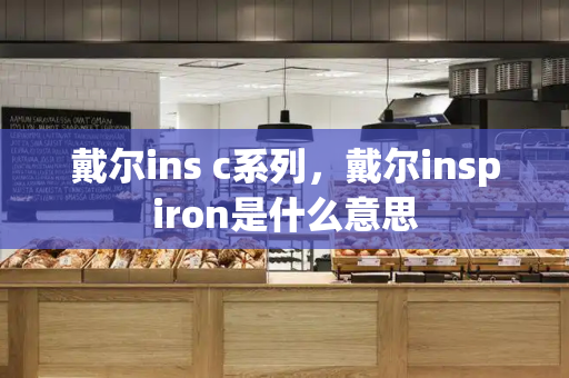 戴尔ins c系列，戴尔inspiron是什么意思-第1张图片-星选测评