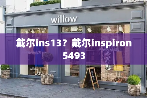 戴尔ins13？戴尔inspiron5493-第1张图片-星选测评