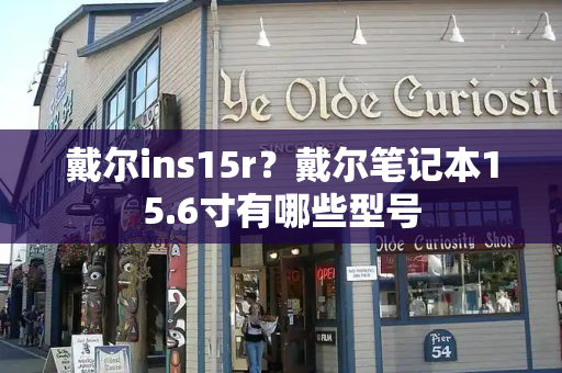 戴尔ins15r？戴尔笔记本15.6寸有哪些型号-第1张图片-星选测评