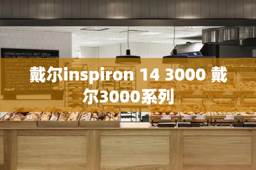 戴尔inspiron 14 3000 戴尔3000系列-第1张图片-星选测评