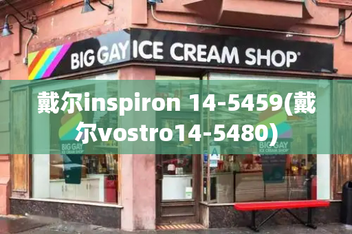 戴尔inspiron 14-5459(戴尔vostro14-5480)-第1张图片-星选测评