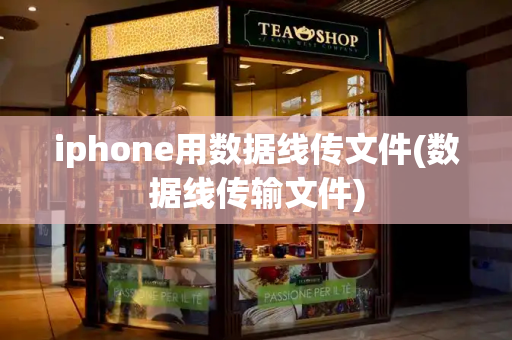 iphone用数据线传文件(数据线传输文件)