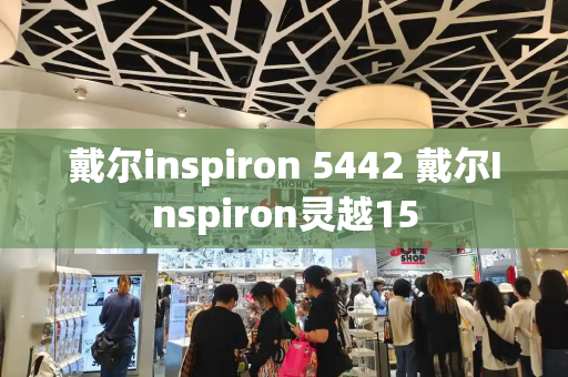 戴尔inspiron 5442 戴尔Inspiron灵越15