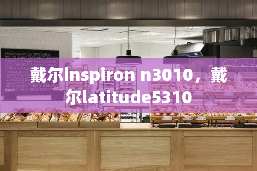 戴尔inspiron n3010，戴尔latitude5310