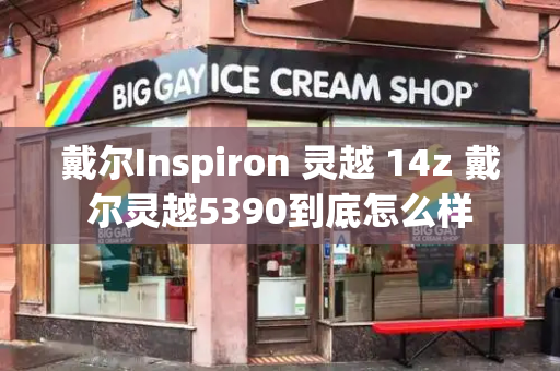 戴尔Inspiron 灵越 14z 戴尔灵越5390到底怎么样