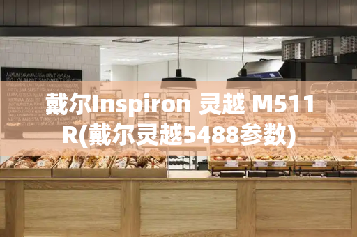 戴尔Inspiron 灵越 M511R(戴尔灵越5488参数)-第1张图片-星选测评