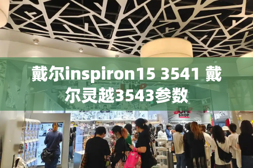 戴尔inspiron15 3541 戴尔灵越3543参数