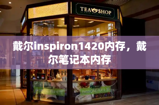 戴尔inspiron1420内存，戴尔笔记本内存