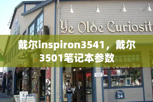 戴尔inspiron3541，戴尔3501笔记本参数-第1张图片-星选测评