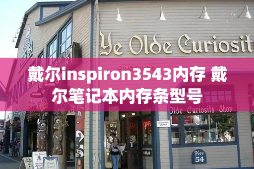 戴尔inspiron3543内存 戴尔笔记本内存条型号-第1张图片-星选测评