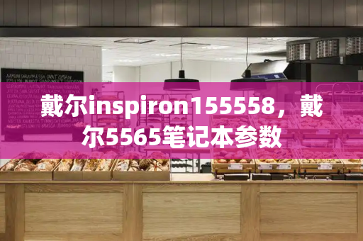 戴尔inspiron155558，戴尔5565笔记本参数-第1张图片-星选测评