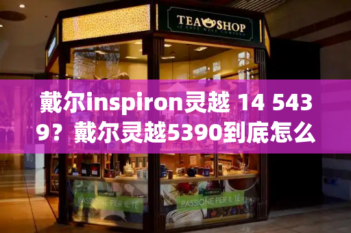 戴尔inspiron灵越 14 5439？戴尔灵越5390到底怎么样-第1张图片-星选测评