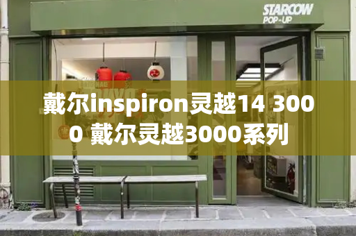 戴尔inspiron灵越14 3000 戴尔灵越3000系列-第1张图片-星选测评