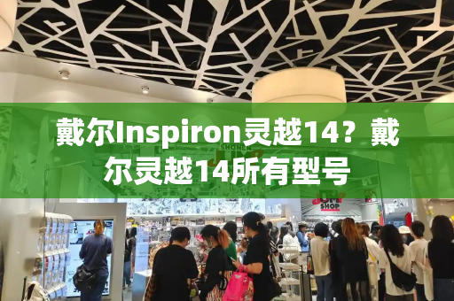 戴尔Inspiron灵越14？戴尔灵越14所有型号-第1张图片-星选测评