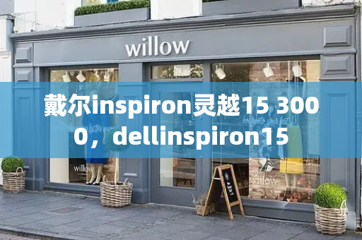 戴尔inspiron灵越15 3000，dellinspiron15