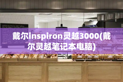 戴尔inspiron灵越3000(戴尔灵越笔记本电脑)-第1张图片-星选测评